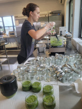 Load image into Gallery viewer, Paradise Pesto-Mac Nut pesto (Original)