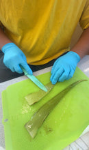 Load image into Gallery viewer, Nā Pua ʻĀina o Waipiʻo-Anti-aging Face Serum