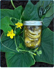 Load image into Gallery viewer, Dill District Pickles-Pickles
