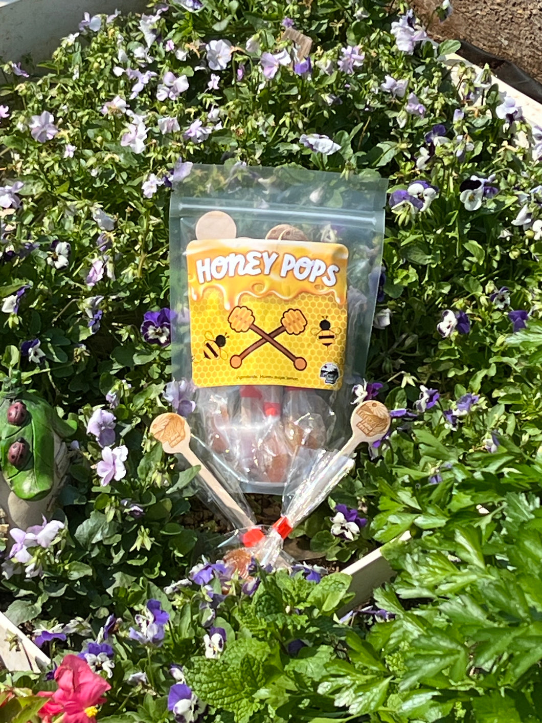 Leilehua Farm Fresh-Honey Pops