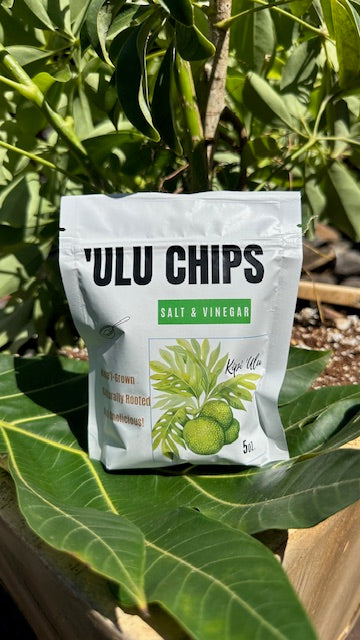 Kauai High School-Kipi Ulu-Ulu (Breadfruit) Chips