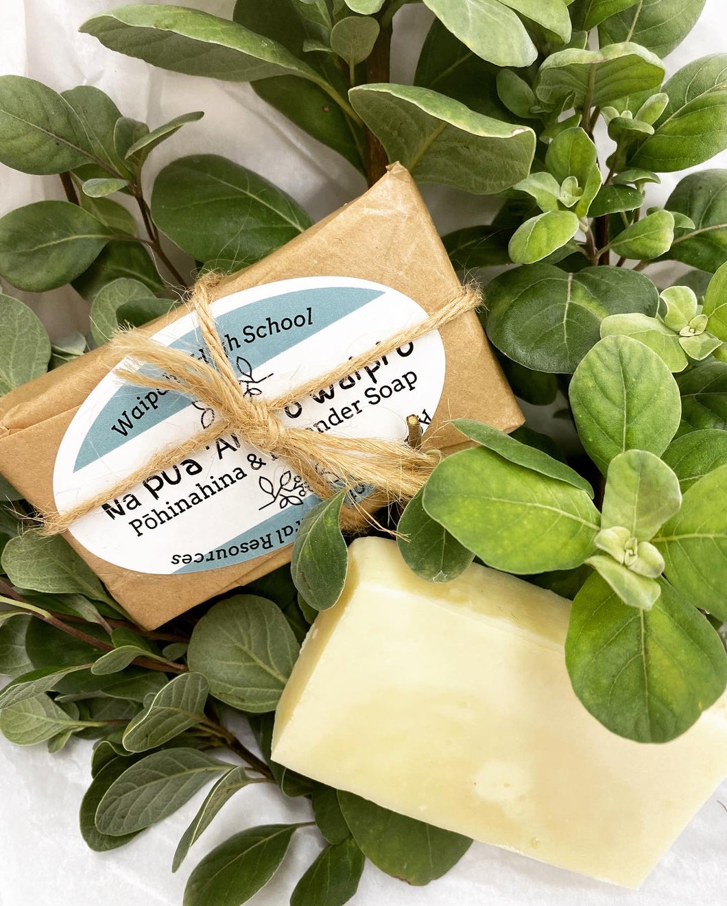 Nā Pua ʻĀina o Waipiʻo-All Natural Soap Bar