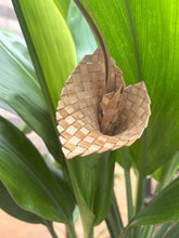 Load image into Gallery viewer, Nā Pua ʻĀina o Waipiʻo-Lauhala woven flower pins
