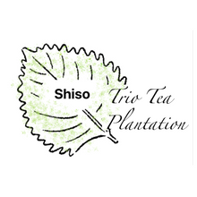 Load image into Gallery viewer, Trio Tea Plantation-Shiso Tea Blends
