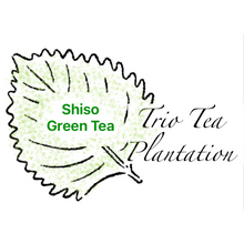 Load image into Gallery viewer, Trio Tea Plantation-Shiso Tea Blends
