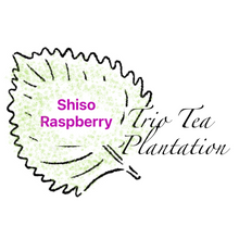 Load image into Gallery viewer, Trio Tea Plantation-Shiso Tea Blends
