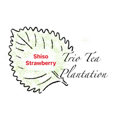 Load image into Gallery viewer, Trio Tea Plantation-Shiso Tea Blends
